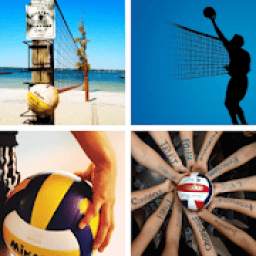 Volleyball Wallpapers: HD images Free download
