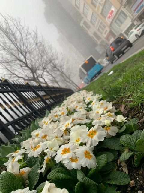 خلفيات شاشة
‎ screenshot 4