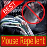 Anti Rat Repeller on 9Apps