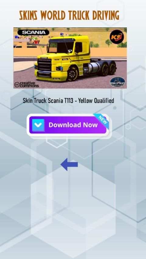 SKINS WORLD TRUCK DRIVING - NEW SKINS screenshot 3