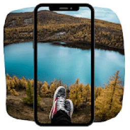 TT Wallpaper आइकन