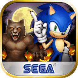 SEGA Heroes: Match 3 RPG Game with Sonic & Crew!