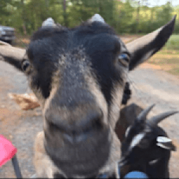 ikon WORD FIND ON THE FARM