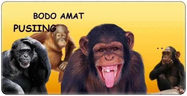 Stiker Monkey Lucu WAStickerApps скриншот 5