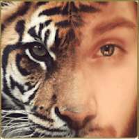 Body Scanner Camera - Real Morph Animal Simulator