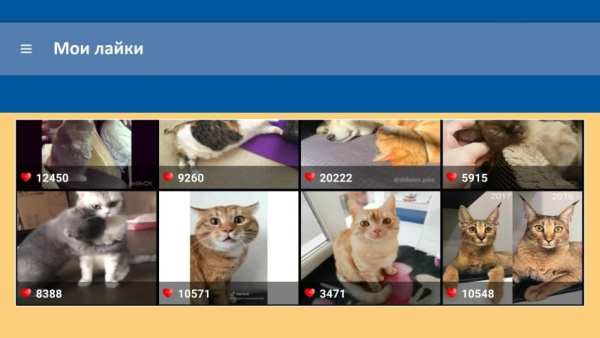 Лайки и Подписчики в Instagram (Просмотр) screenshot 1