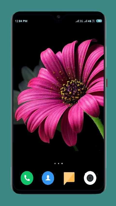 Flowers Wallpaper 4K स्क्रीनशॉट 4