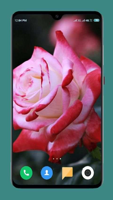 Flowers Wallpaper 4K स्क्रीनशॉट 9