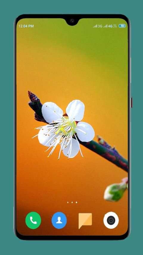 Flowers Wallpaper 4K स्क्रीनशॉट 16