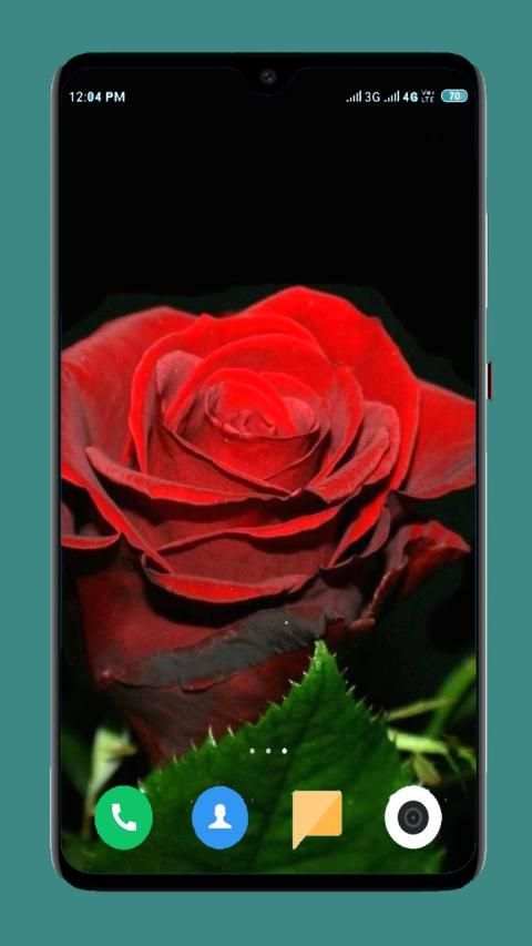 Flowers Wallpaper 4K स्क्रीनशॉट 6