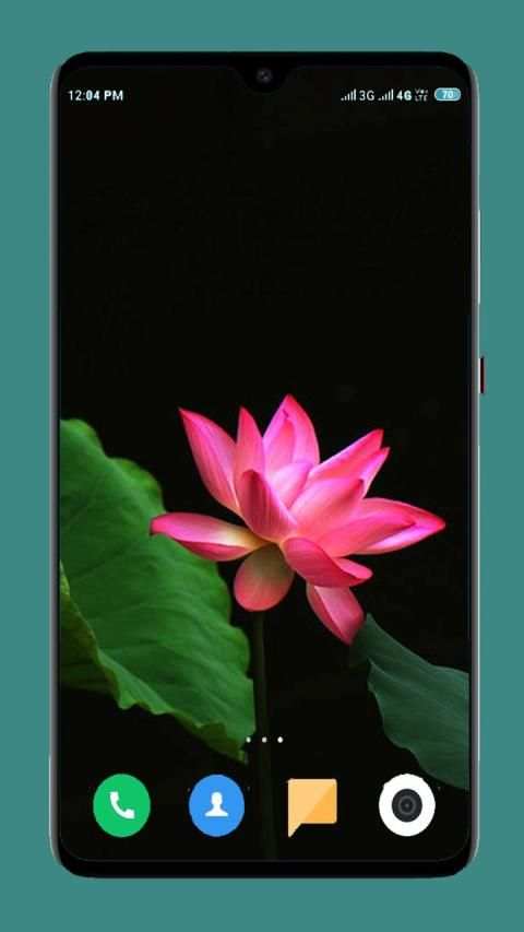 Flowers Wallpaper 4K स्क्रीनशॉट 5