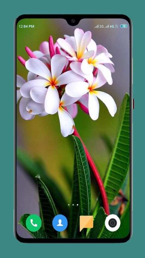 Flowers Wallpaper 4K स्क्रीनशॉट 7