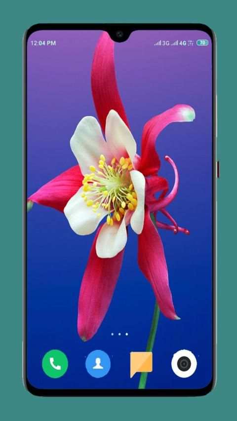 Flowers Wallpaper 4K स्क्रीनशॉट 12