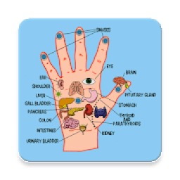 Master Acupressure - Su Jok आइकन