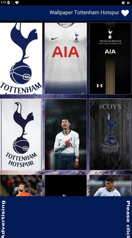 Tottenham Hotspur FC Wallpapers  Wallpaper Cave