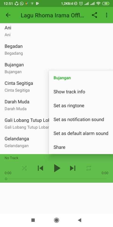 Lagu Rhoma Irama Offline screenshot 1