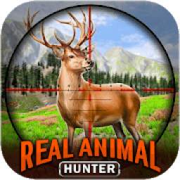 Real Animal Hunter - New Deer Hunting Games
