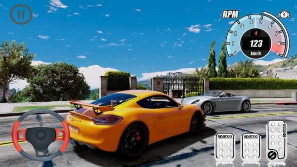 Top Simulator Porsche Cayman GT4 Edition screenshot 2