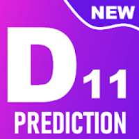 Dream Prediction Team for d11,m11