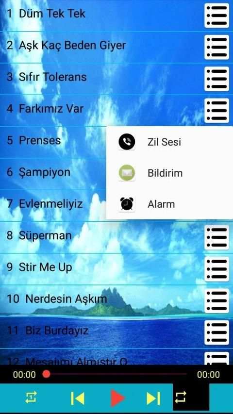 Hadise Şarkıları İnternetsiz (40 ŞARKI) Dinle screenshot 1