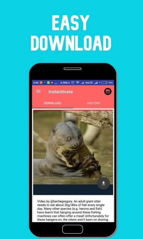 Insta Downloader screenshot 1