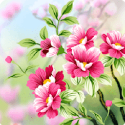 Flowers Wallpaper आइकन