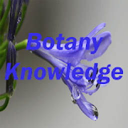 ikon Botany test Quiz