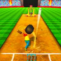 Cricket Game Full Toss