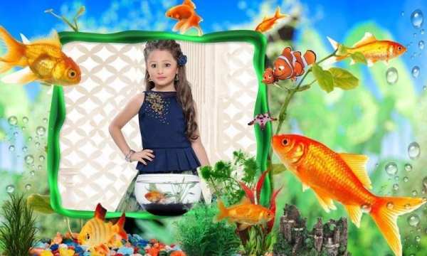 Aquarium Photo Frames screenshot 5