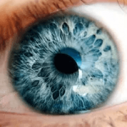 ikon Ещё 460 слов