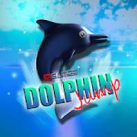 Dolphin Jump Free