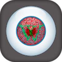 Color Blind Test: Eye Color Vision Test