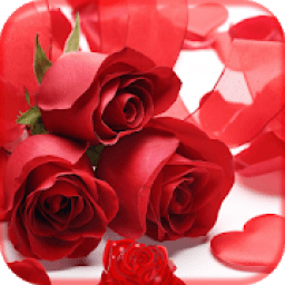 ikon Red Rose Photo Frames HD Collection Photo Editor