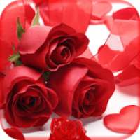 Red Rose Photo Frames HD Collection Photo Editor on 9Apps
