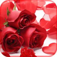 Red Rose Photo Frames HD Collection Photo Editor