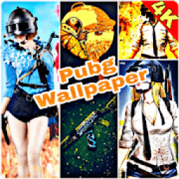 4k Wallpapers For Pubg आइकन