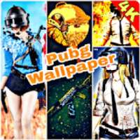 4k Wallpapers For Pubg