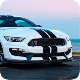 ikon Mustang Car Race Drift Simulator