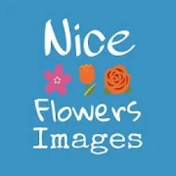 Nice Flowers Images(Wallpaper)