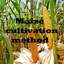 ভুট্টা চাষের উপায় أيقونة