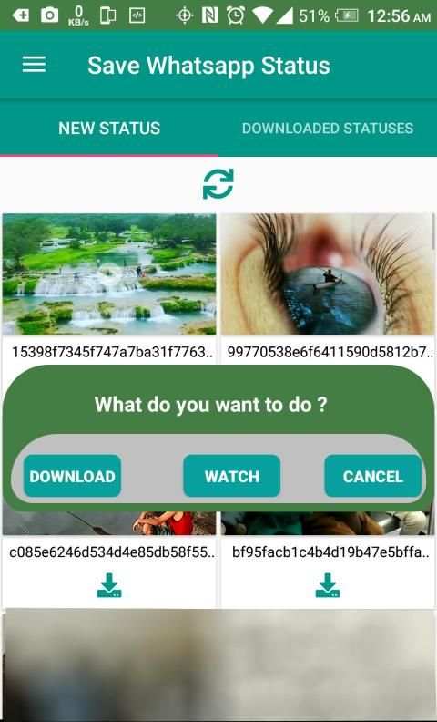 Save Status for WA :whats status saver screenshot 2
