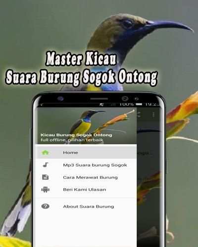 Pikat Burung Sogok Ontong MP3 Offline screenshot 5