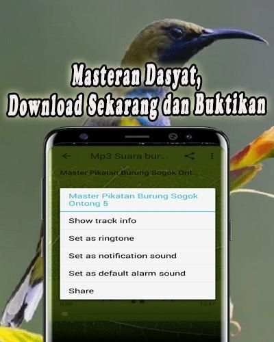 Pikat Burung Sogok Ontong MP3 Offline screenshot 1