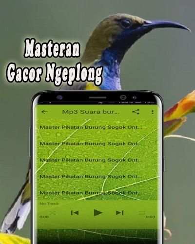 Pikat Burung Sogok Ontong MP3 Offline screenshot 3