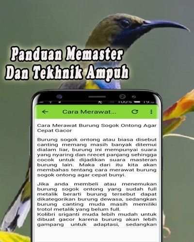 Pikat Burung Sogok Ontong MP3 Offline screenshot 2