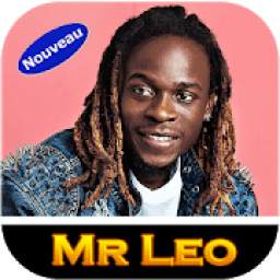 MR LEO 1.0