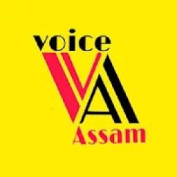 Telsura - Voice Assam