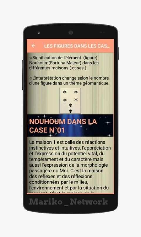 Initiation Géomancie Niveau ll screenshot 7
