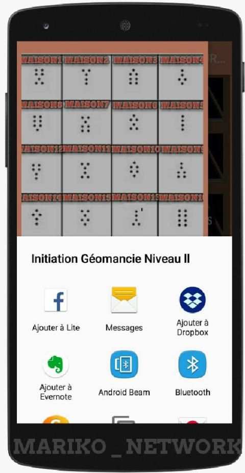Initiation Géomancie Niveau ll screenshot 2