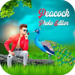 Peacock photo Editor 2019